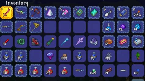 How to Lock Items in Terraria .